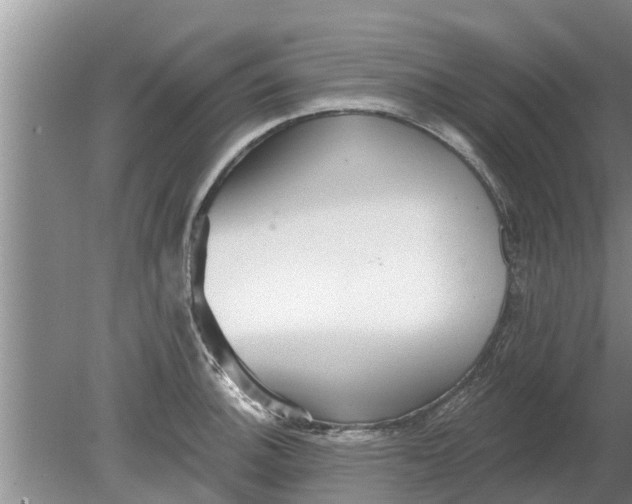 X0000080151140200612221942