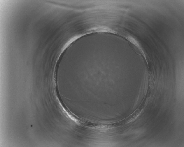 X0000080151141200612221942