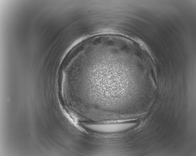 X0000080151142200612221942