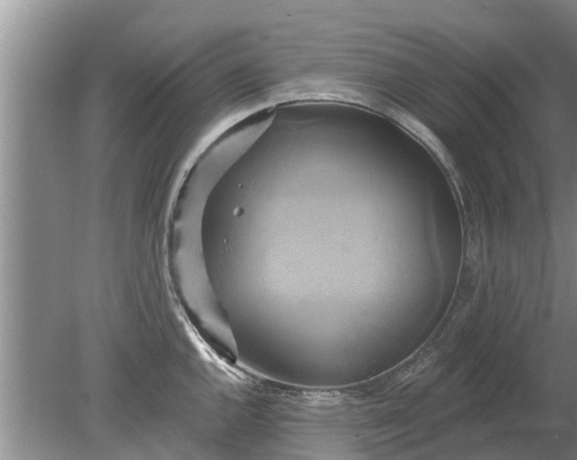 X0000080151144200612221942