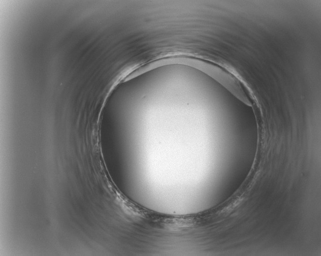 X0000080151145200612221942