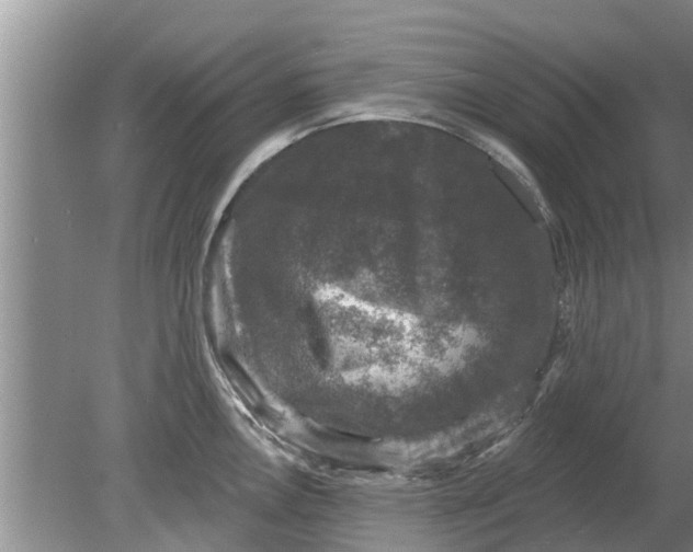 X0000080151146200612221942