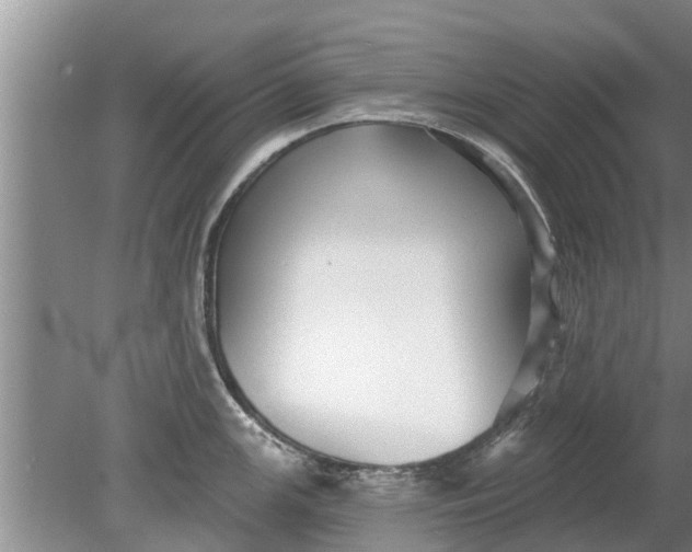 X0000080151147200612221942