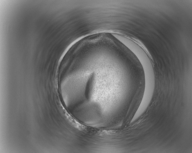 X0000080151148200612221942