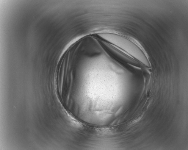 X0000080151149200612221942