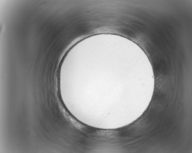 X0000080151150200612221942