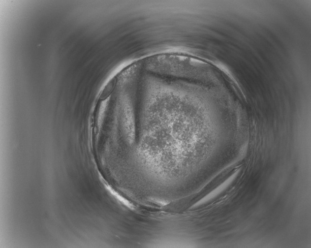 X0000080151151200612221942