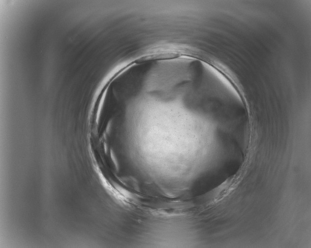 X0000080151152200612221942