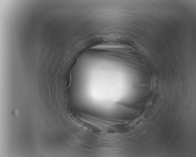 X0000080151153200612221942