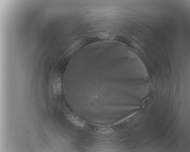 X0000080151154200612221942