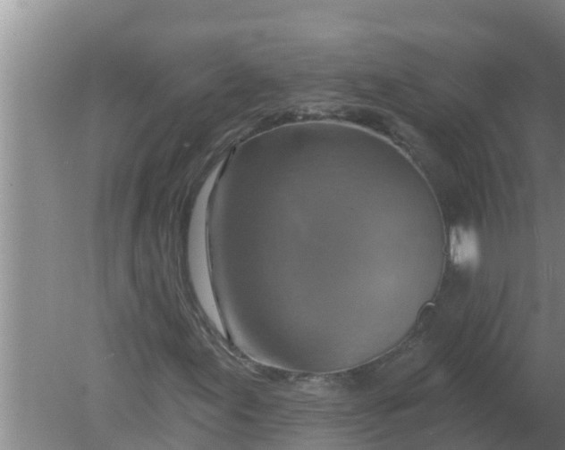 X0000080151155200612221942