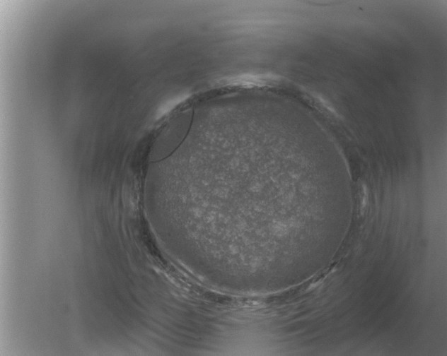 X0000080151158200612221941