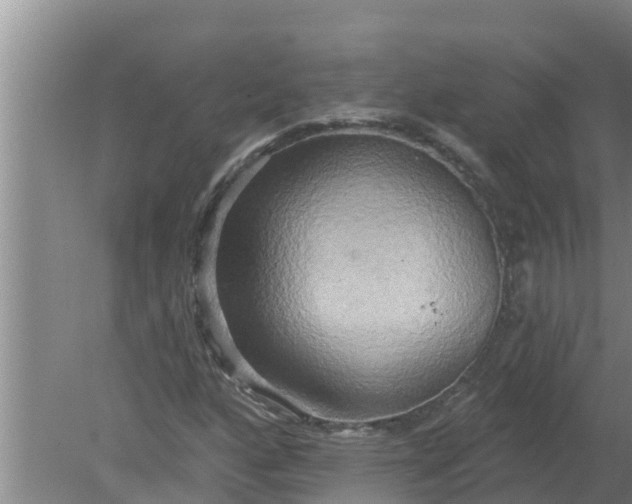 X0000080151160200612221941