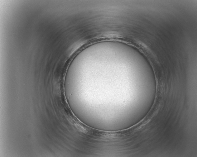 X0000080151162200612221941