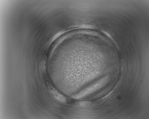 X0000080151163200612221941