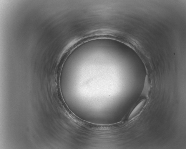 X0000080151164200612221941