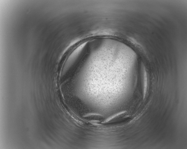 X0000080151166200612221941