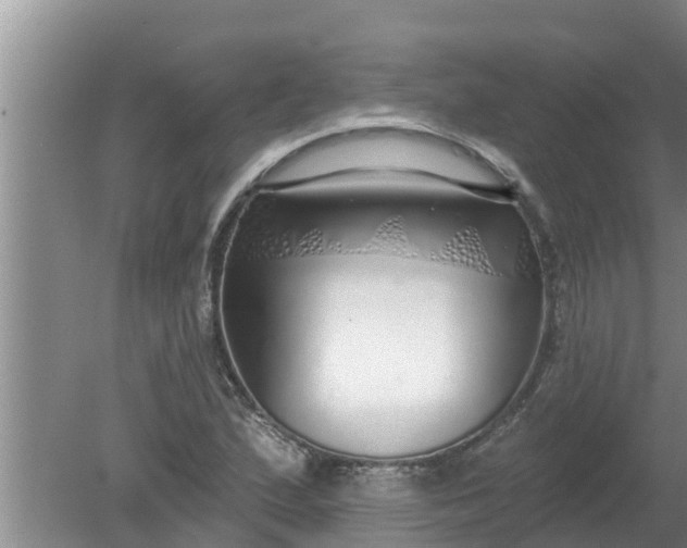 X0000080151167200612221941