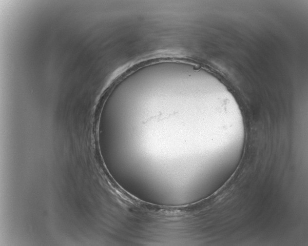 X0000080151168200612221941