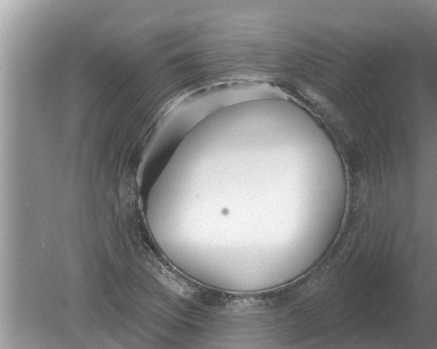 X0000080151169200612221941