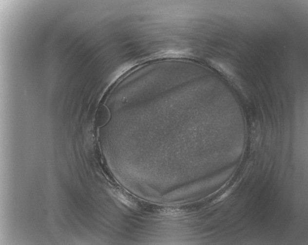 X0000080151170200612221941