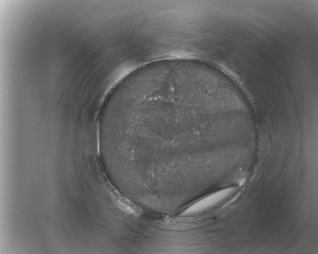 X0000080151171200612221941