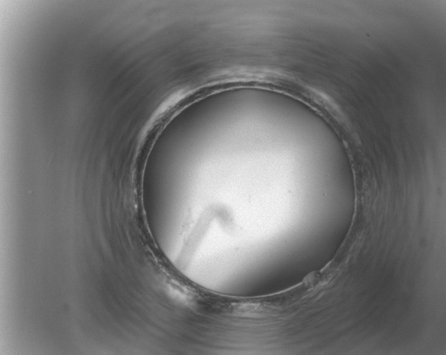 X0000080151172200612221941