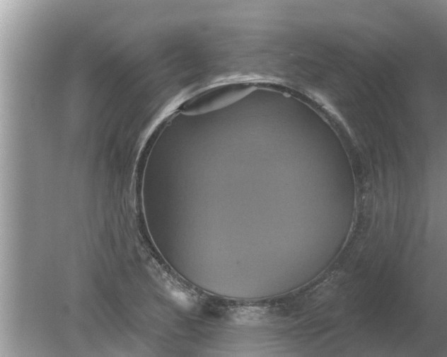 X0000080151173200612221941