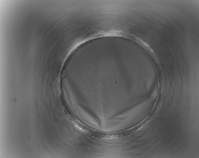 X0000080151174200612221941