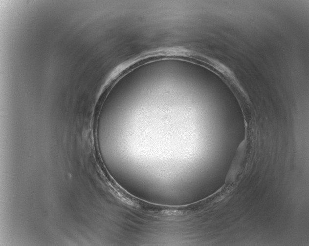 X0000080151176200612221941