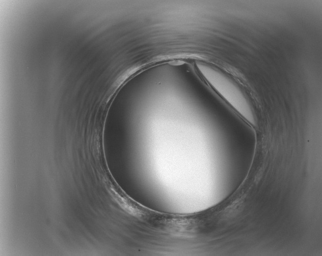 X0000080151177200612221941