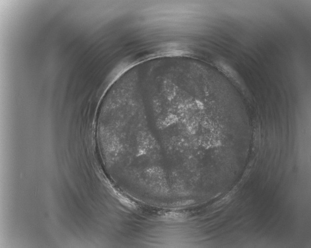 X0000080151178200612221941