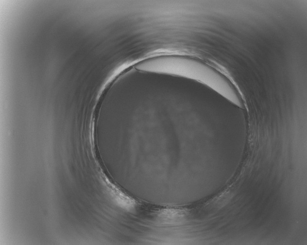 X0000080151179200612221941