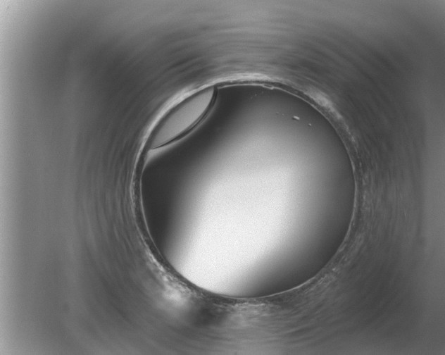 X0000080151181200612221941