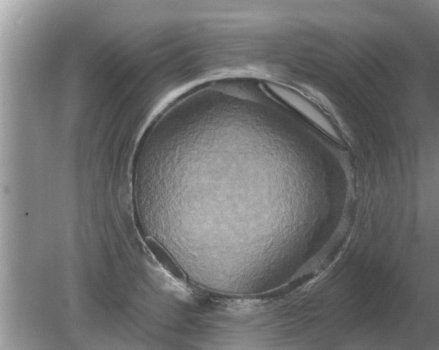 X0000080151184200612221941