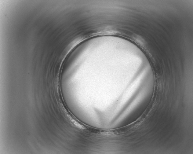 X0000080151186200612221941