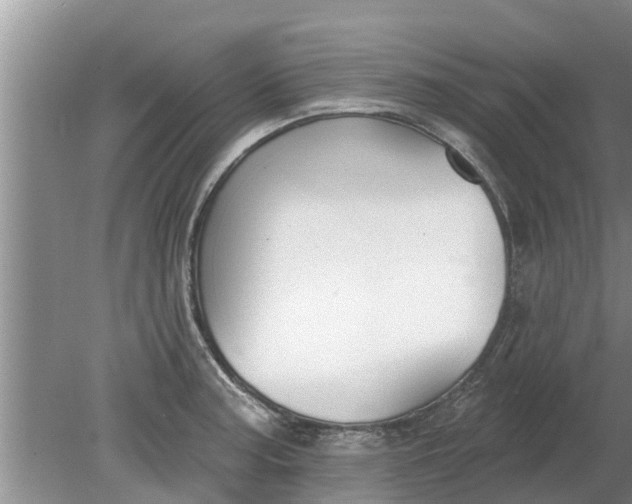 X0000080151187200612221941