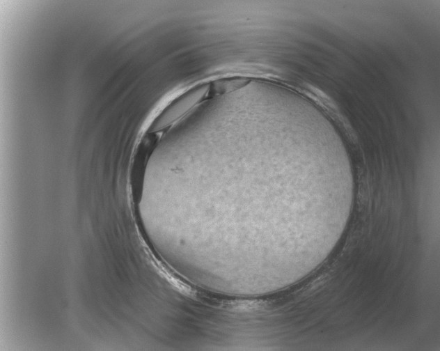 X0000080151188200612221941