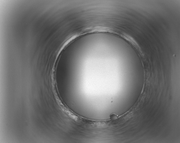 X0000080151190200612221941