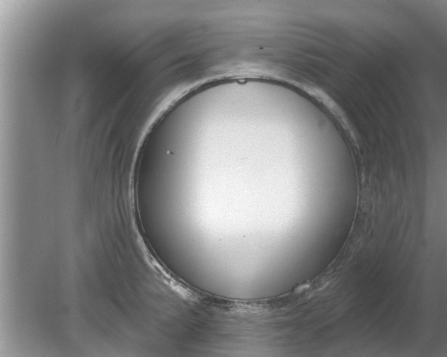 X0000080151191200612221941