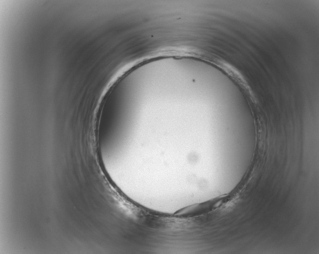 X0000080151192200612221941