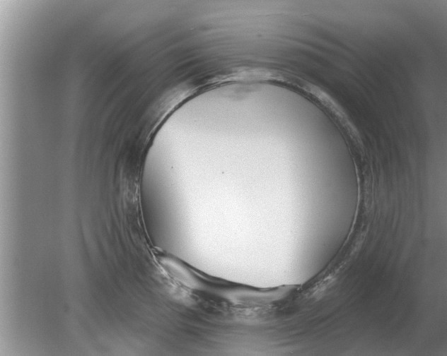 X0000080151193200612221941