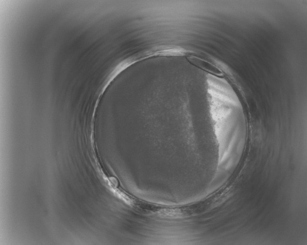 X0000080151194200612221941