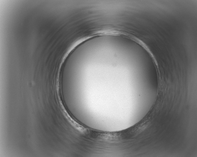 X0000080151195200612221941