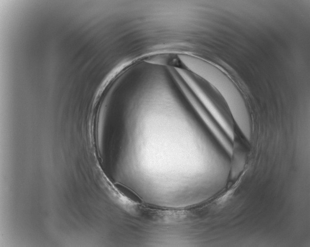 X0000080151196200612221941