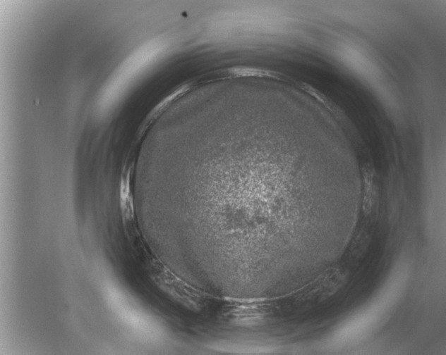 X0000080151198200612221941