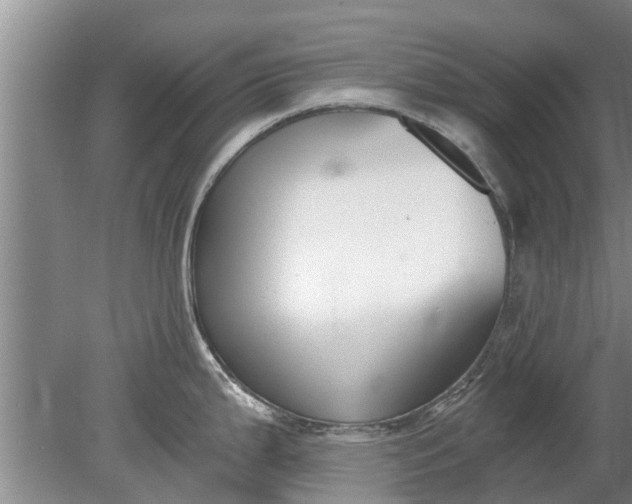 X0000080151199200612221941