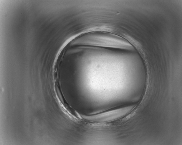 X0000080151200200612221941