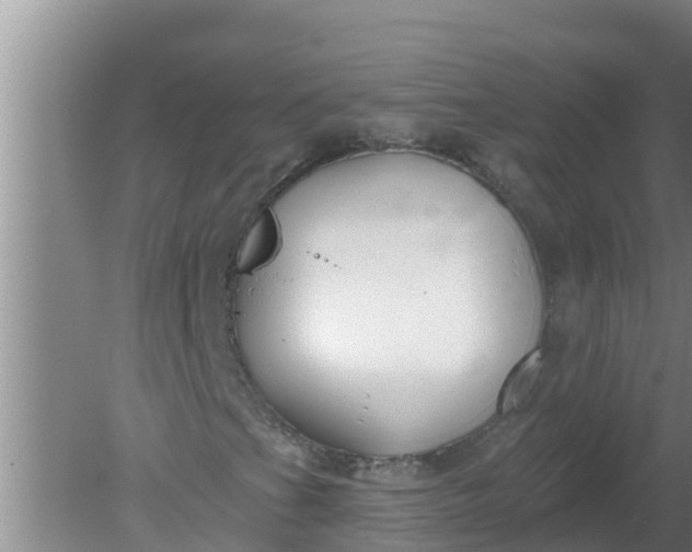 X0000080151201200612221940