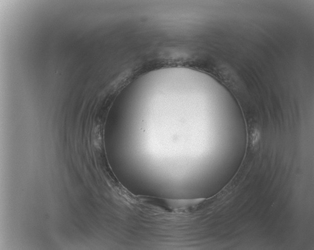 X0000080151204200612221940